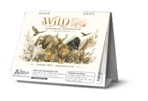 Desk-Calendar-2570-3D-Showcase_Wild-Safari-Template-8x7-Inch_Roongphim-Calendar รูปแบบเล่มปฏิทินตั้งโต๊ะสำเร็จรูป 2570 ขนาด 8x7 นิ้ว ชุด WILD ร้าย โชว์โครงสร้างฐานตั้งจั่วปังพรีเมียมสีเทาอ่อน สั่งผลิตราคาถูก โดย โรงพิมพ์ปฏิทิน.com