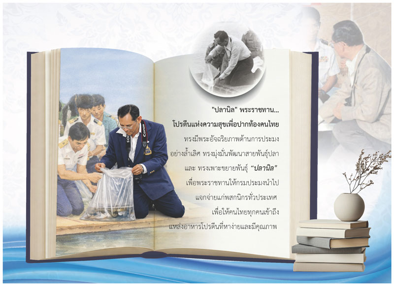 Desk-Calendar-2570-King-Rama-9-Fishery-Page_Tilapia-Fish-Template_Roongphim-Calendar รูปแบบหน้าเนื้อในพิเศษปฏิทินสำเร็จรูป 2570 ลายในหลวงรัชกาลที่ 9 ทรงงานเพาะเลี้ยงสัตว์น้ำและบันทึกประวัติปลานิลพระราชทาน สั่งพิมพ์ราคาถูก โดย โรงพิมพ์ปฏิทิน.com
