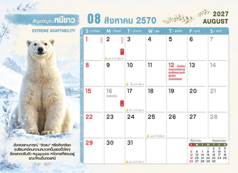 Desk-Calendar-2570-Template-August-Grid_Wild-Rai-Polar-Bear_Roongphim-Calendar รูปแบบตารางเนื้อในปฏิทินตั้งโต๊ะ สิงหาคม 2570 ลายตัวการ์ตูนสัตว์ป่าหมีขั้วโลก มีช่องโน้ต วันหยุดราชการวันแม่ 12 สิงหาคม วันสารทจีน สั่งพิมพ์ราคาถูก โดย โรงพิมพ์ปฏิทิน.com