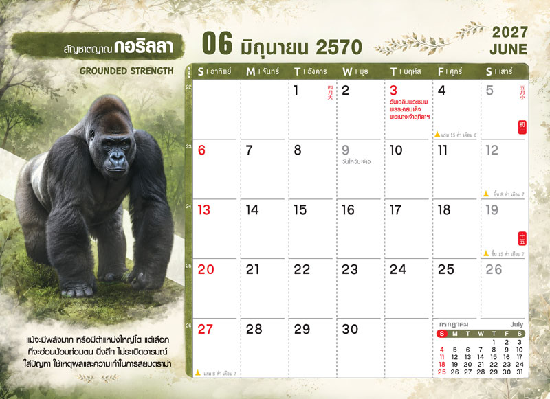 Desk-Calendar-2570-Template-June-Grid_Wild-Rai-Gorilla_Roongphim-Calendar รูปแบบตารางเนื้อในปฏิทินตั้งโต๊ะ มิถุนายน 2570 ลายตัวการ์ตูนสัตว์ป่ากอริลลา มีช่องโน้ต วันหยุดราชการ 3 มิถุนายน วันไหว้บะจ่าง สั่งพิมพ์ราคาถูก โดย โรงพิมพ์ปฏิทิน.com